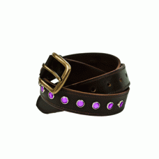 Belt With Crystals